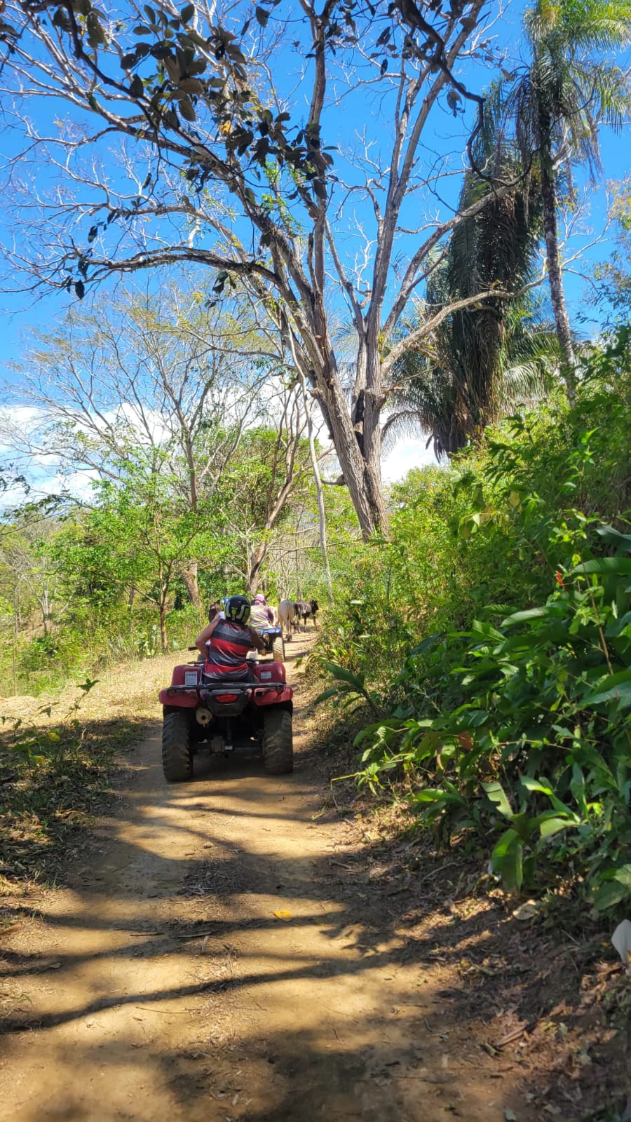 Sayfer Tours CR - Foto 23