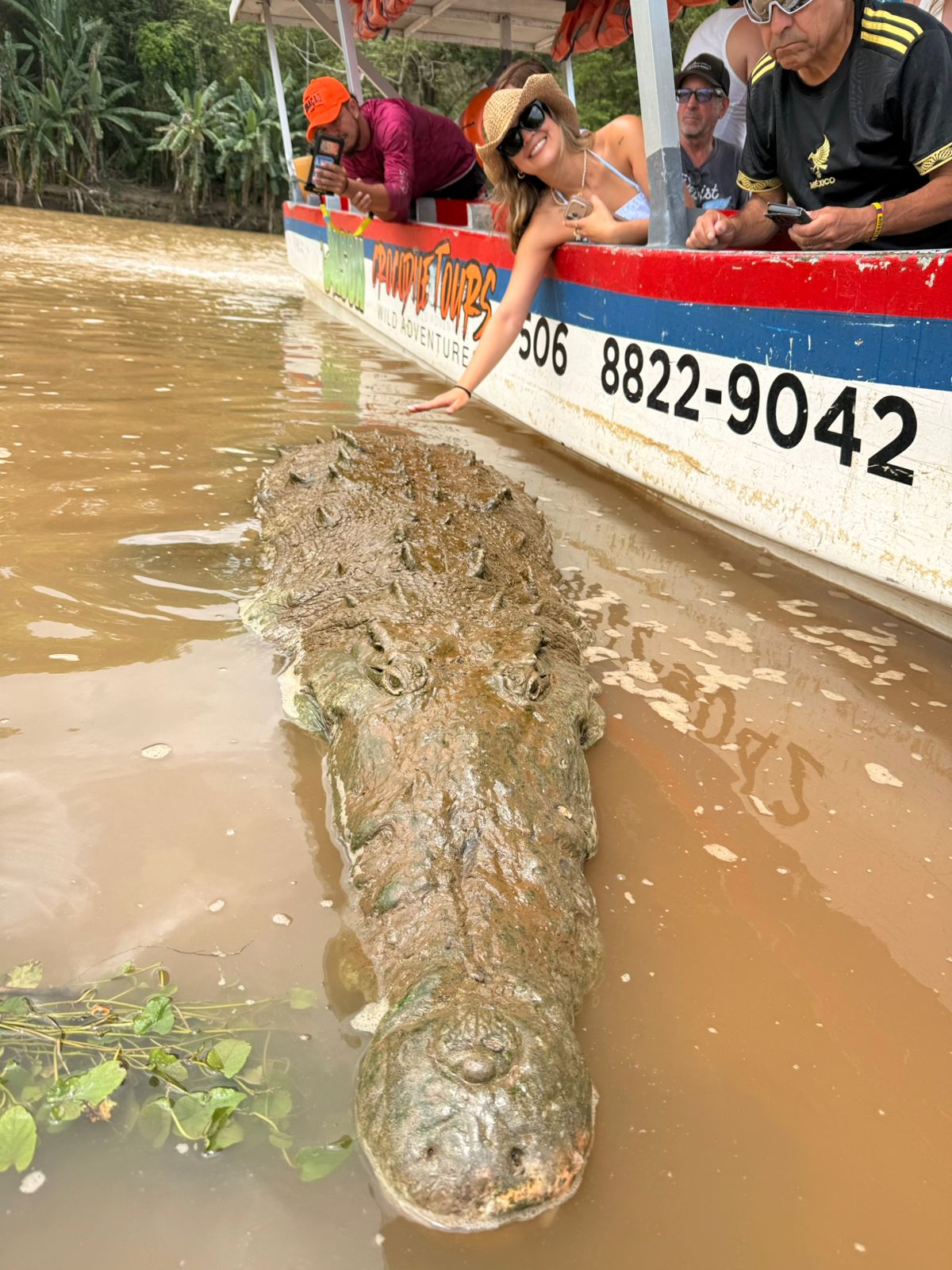 Sayfer Tours CR - Foto 3