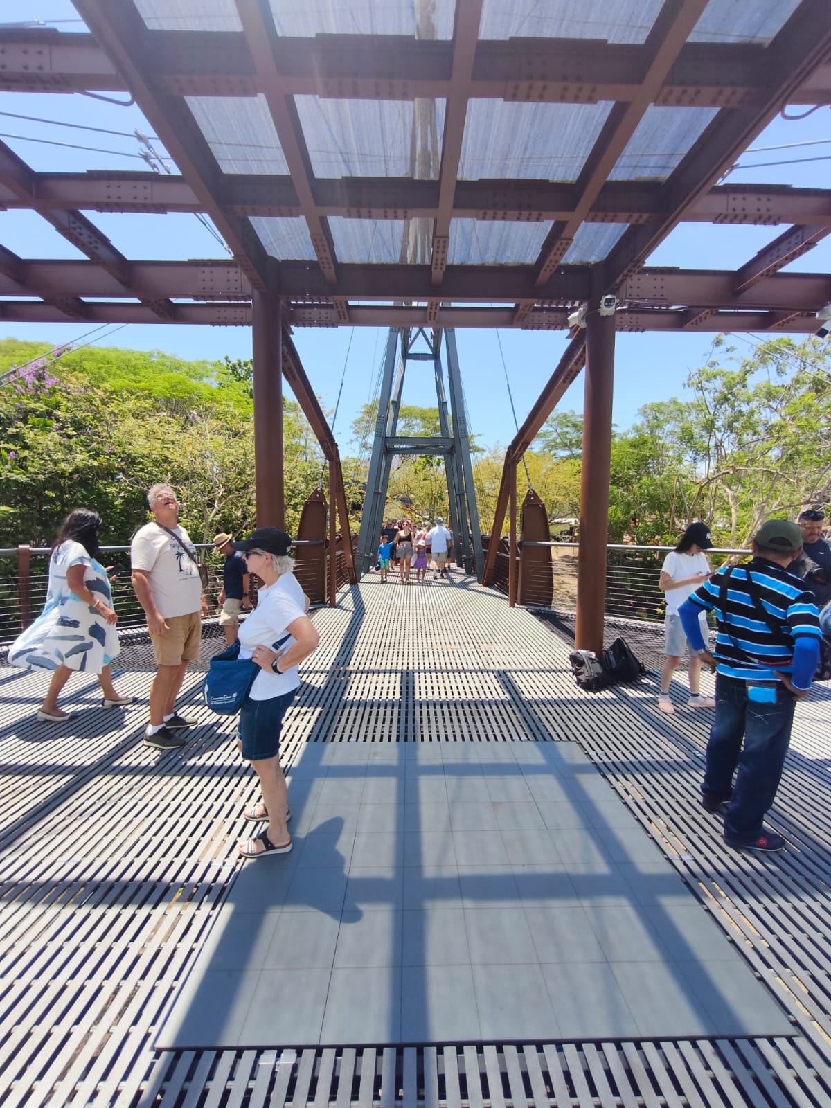 Tours de Bosque Lluvioso y Nuboso